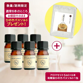 自宅でひのき湯【先着1000名様★新春ひのきバスソルト1包プレゼント】アロマオイル エッセンシャルオイル 選べる 精油 各5ml×6本 セット 【送料無料】 ラベンダー オレンジ ユーカリ グレープフルーツ ハッカ AEAJ認定 天然 ティートゥリー アロマディフューザー s1