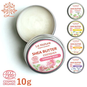 I[KjbN VAo^[ t ʓ10g GbZVA y RXXF؍  A}IC GbZVIC x_[ CC WX~ J~[ [Y XLPA z