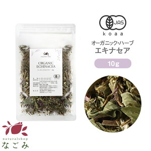 I[KjbNEGLiZA  10g y L@JAS n[ueB[ n[u hCn[u GLiZA GLiZAeB[ t _  TCY  N N e e C