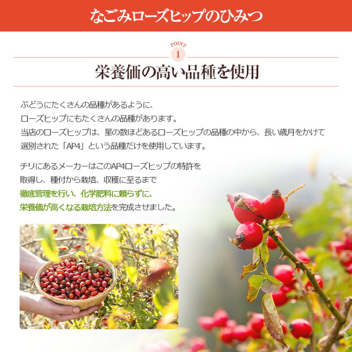楽天市場】オーガニック・ローズヒップ 100g 【送料無料】【 有機JAS 