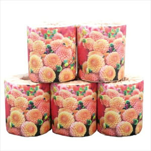 ̑p p ei ii gCbgy[p[ ѐ  _A _u30m 50