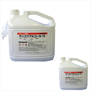 ƖpۃAR[ TE AR[75 5LX2{ HiY