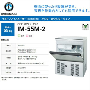 ƖpSX@ zVUL L[uACX[J[ IM-55M-2 X\55Kg A_[JE^[^Cv Z P100V