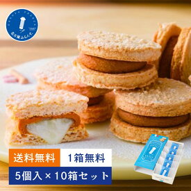 1箱無料 送料無料 母の日 ギフト プレゼント スイーツ 名古屋ふらんす プチ 5個入 10箱セット まとめ買い 人気 卒業 入学 退職 ご挨拶 熨斗 御祝 お礼 帰省土産 出産 結婚 内祝い 手土産 ダックワーズ 誕生日 おもたせ 女子会 帰省 ビジネス 和モダン
