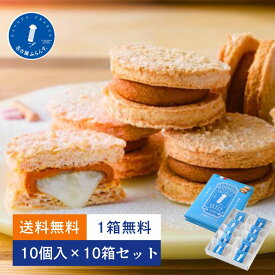 1箱無料 送料無料 10箱セット まとめ買い 母の日 ギフト プレゼント スイーツ 人気 退職 名古屋ふらんす プチ 10個入 ご挨拶 熨斗 御祝 お礼 お取り寄せ ご当地 手土産 おもたせ 名古屋土産 帰省土産 ダックワーズ 洋菓子 ビジネス 家族 和モダン