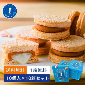 【最大P10倍】1箱無料 送料無料 10箱セット まとめ買い 帰省土産 夏 ギフト プレゼント スイーツ 人気 退職 名古屋ふらんす プチ 10個入 ご挨拶 熨斗 御祝 お礼 お取り寄せ ご当地 手土産 おもたせ 名古屋土産 ダックワーズ 洋菓子 ビジネス 家族 暑中見舞い