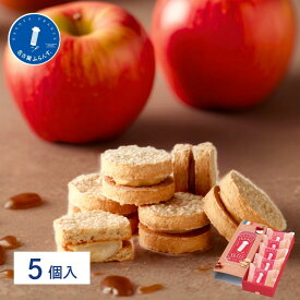 秋ギフト 名古屋土産 スイーツギフト 帰省土産 熨斗 御祝 退職 菓子 ご挨拶 結婚 内祝い 名古屋ふらんすプチアップルキャラメル 5個入 お餅 りんご 洋菓子 プレゼント キャラメル 誕生日 手土産 おもたせ 女子会 ビジネス 敬老 クリスマス お歳暮