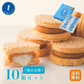 マラソン限定★最大P10倍！1箱無料 まとめ買い 送料無料 10個入10箱 名古屋ふらんす プチ 御中元 名古屋土産 お餅 ダックワーズ 洋菓子 キャラメル プレゼント 帰省土産 お取り寄せ ご当地 スイーツギフト 熨斗 御祝 退職 手土産 おもたせ 帰省 ビジネス 家族 暑中見舞い