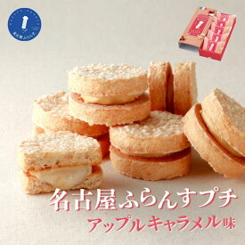 冬ギフト 名古屋土産 ご当地 スイーツギフト 帰省土産 熨斗 御祝 退職 菓子 ご挨拶 結婚 内祝い 名古屋ふらんすプチアップルキャラメル 5個入 お餅 ダックワーズ りんご 洋菓子 プレゼント キャラメル 誕生日 手土産 おもたせ 女子会 ビジネス 和モダン クリスマス お歳暮