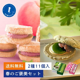 春のご褒美セット 送料無料 お試し 母の日 ギフト プレゼント スイーツ 人気 季節限定 名古屋ふらんす プチ ダックワーズ ピーチラズベリー よもぎ餅 名古屋土産 帰省土産 お取り寄せ 個包装 おもたせ 女子会 ビジネス ご挨拶 熨御祝 お礼 内祝 お返し