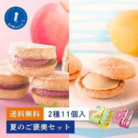 【ポイント最大10倍】夏のご褒美セット 送料無料 お試し 帰省土産 夏 ギフト プレゼント スイーツ 人気 季節限定 名古屋ふらんす プチ ダックワーズ ピーチ爽やかレモン 名古屋土産 帰省土産 お取り寄せ 個包装 おもたせ 女子会 ビジネス ご挨拶 熨御祝 お礼 内祝 お返し