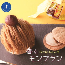 秋季限定 帰省土産 退職 出産 御祝 産休 敬老 手土産 おもたせ 女子会 プレゼント 洋菓子 ダックワーズ 名古屋土産 名古屋ふらんす 香るモンブラン味 6個入お取り寄せスイーツ ギフト 通販 お餅 お土産 贈り物 帰省 ビジネス 冬ギフト 行楽 和モダン クリスマス お歳暮
