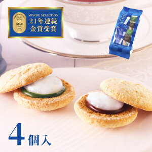 名古屋ふらんす 4個入 お餅 ダックワーズ プレゼント 帰省土産 洋菓子 名古屋土産 お取り寄せ ギフト 抹茶 ショコラ 贈り物 個包装 プチギフト 御祝 退職 お礼 ご挨拶 内祝 手土産 女子会 帰