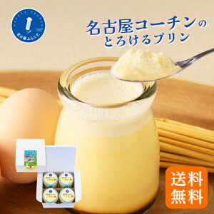  ÉR[` v 4 ooA v[g AȓyY ÉyY  XC[cMtg Ƃ낯  蕨 Éӂ 킢 j ސE A j yY 