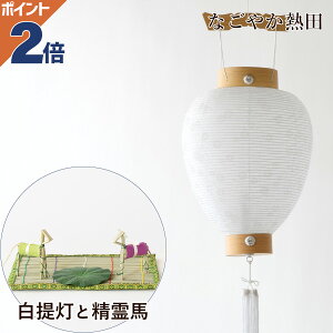 ~Zbg  n ܂ Zbg i 40Z` `I R[hX LED ~ V ^  ~ V~ ~ d 