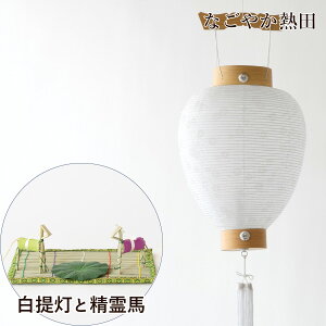 ~Zbg  n ܂ Zbg i 40Z` `I R[hX LED ~ V ^  ~ V~ ~ d 