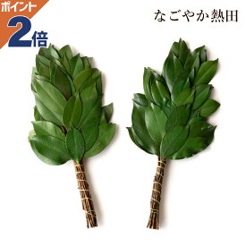 プリザーブド榊 一対 本榊 本物を加工 豪華 33センチ 本格的 お榊 枯れない プリザーブドフラワー お供え 国産 神棚 神具