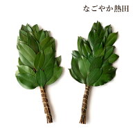 プリザーブド榊 一対 本榊 天然 生 本物を加工 豪華 33センチ 本格的 お榊 枯れない プリザーブドフラワ…