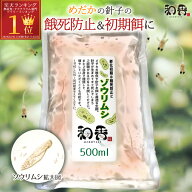 和香 ゾウリムシ ★栄養強化版★（ インフゾリア ）500ml 詳しい培養マニュアル付 めだか メダカ 金魚 稚…
