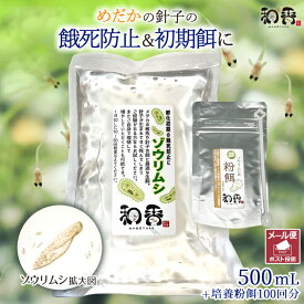 和香 ゾウリムシ（インフゾリア）500ml＆培養酵母100回分セット＆詳しい培養マニュアル付めだか稚魚に最適のえさ めだか 金魚 稚魚針子 生餌有名ブリーダー 熱帯魚ショップ 教育機関など納品しています。なごやか 和やか