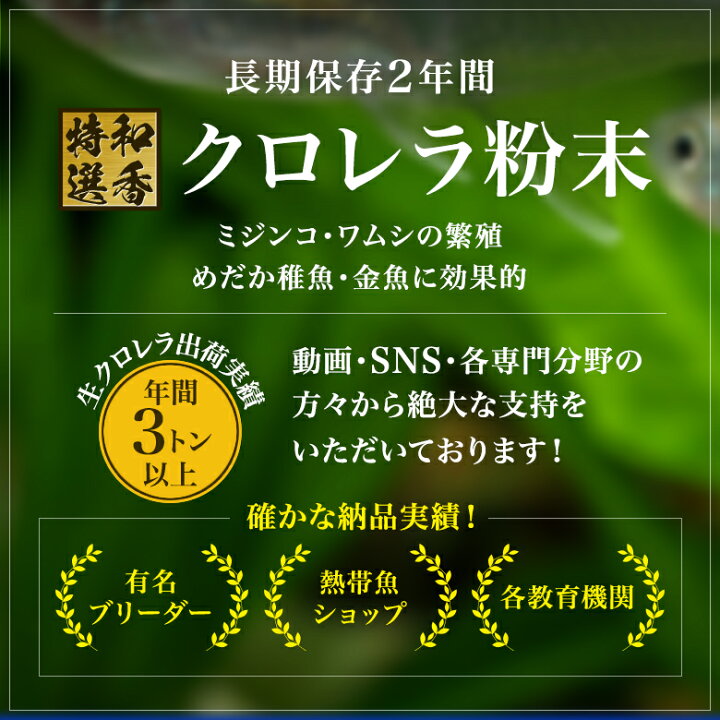 和香 長期保存OK 特選粉末生クロレラ 原液500ml相当(粉末150ml)詳細な動画説明書付 めだか 金魚 針子稚魚 ミジンコ ワムシの餌(えさ)効果期待できます クロレラ 生クロレラ グリーンウォーター 原液 濃縮 ゾウリムシ 培養 めだか 熱帯魚 淡水魚 海水魚 観賞 ... 生クロレラ★純正品★和香 特選生クロレラ 原液50mL 詳しい動画説明書付めだか 金魚 稚魚針子 歩留解消水質環境 成長に最適なグリーンウォーター 生存率アップが期待できますミジンコ ワムシ ゾウリムシ 培養 増殖 越冬 繁殖 餌 えさ エサ なごやか