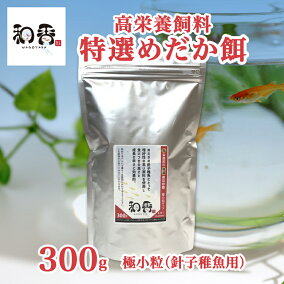 楽天市場 人工飼料 種 観賞魚 メダカ 人気ランキング1位 売れ筋商品
