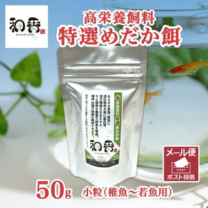 a _J̉a aI߂a iFtEዛpj50g Ϗ܋ Mы ߂ _J Obs[ ɍỉa ς  HP Fg ɐB ̗͑  G