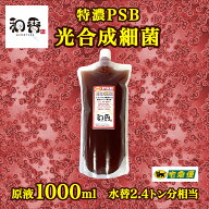 鑑賞魚用品専門店 和香