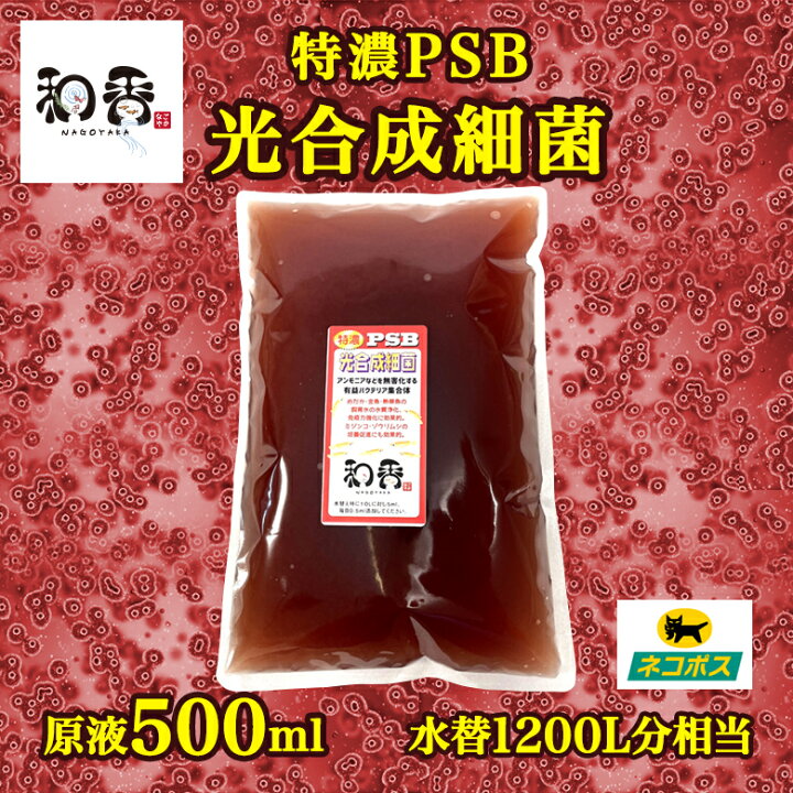 楽天市場 和香 Psb 水質改善 越冬 特濃psb光合成細菌バクテリア500ml 水替10l分相当 観賞魚 めだか らんちゅう 金魚 熱帯魚の免疫力強化 ミジンコ ゾウリムシ 微生物 培養促進 生物濾過 有害有機物質の分解 濃縮 ろ過バクテリア 飼育水 培養液 増やせる 和やか 楽天市場 和香 Psb 水質改善 越冬 特濃psb光合成細菌バクテリア500ml 水替10l分相当 観賞魚 めだか らんちゅう 金魚 熱帯魚の免疫力強化 ミジンコ ゾウリムシ 微生物 培養促進 生物濾過 有害有機物質の分解 濃縮 ろ過バクテリア 飼育水 培養液 増やせる 和やか