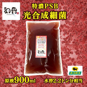 熱帯魚 アクアリウム用エサ バクテリア 熱帯魚 アクアリウム用品の人気商品 通販 価格比較 価格 Com