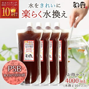 a PSB ׋ _J   Mыp Zk 4000ml  |{ | jq t a a _ |    | ւ ANAE  Vv ~WR ]EV 