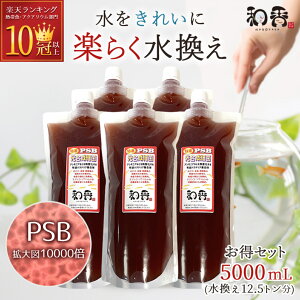 a PSB ׋ _J   Mыp Zk 5000ml  |{ | jq t a a _ |    | ւ ANAE  Vv ~WR ]EV 