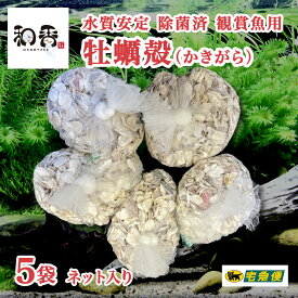 楽天市場 観賞用 エビの通販 楽天市場 観賞用 エビの通販