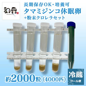 |Cg10{a ^}~WRx2000i4000Cj+Nt ① ߂EE񂿂イEObs[Ȃǂ̊aɍœK ~WR ݂ ߂ _J t  M