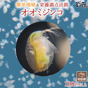 ★ポイント5倍★和香 オオミジンコ 100匹 増殖簡単 詳しい動画説明付 めだか らんちゅう グッピー 熱帯魚 水中爬虫類の活餌に最適 ミジンコ みじんこ タマミジンコ メダカ 金魚 熱帯魚 観賞