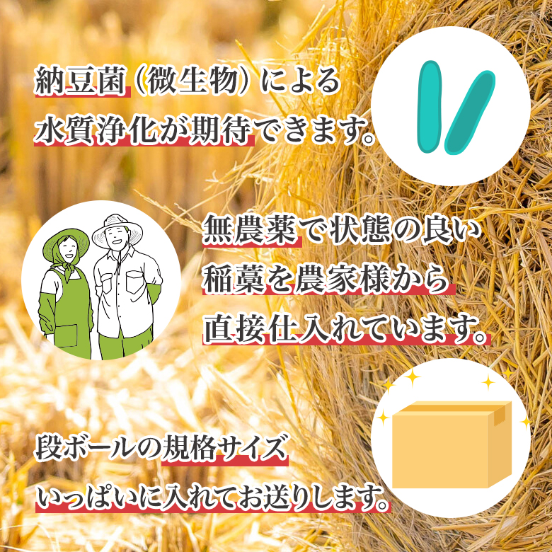 楽天市場】スーパーセール最大50％OFF☆和香 稲わら 無農薬 観賞魚用