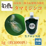 和香 タマミジンコ 1g（約3000匹）+ 生クロレラ 100ml めだか・金魚・らんちゅう・グッピーなどの活餌に…