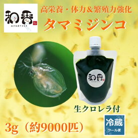 和香 タマミジンコ (成体）3g（約9000匹）+ 生クロレラ 100ml 詳しい動画説明書付 めだか・金魚・らんちゅう・グッピーなどの活餌に最適 なごやか 和やか