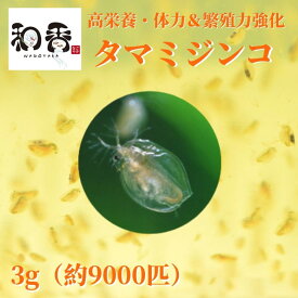 和香 タマミジンコ 3g（約9000匹） 栄養満点 めだか・金魚・らんちゅう・グッピーなどの活餌に最適 なごやか 和やか