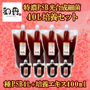 a PSB ȒPZ|{ ZPSB׋40L|{ZbgiPSB4L+|{GLX400mljt oNeA p|{GLX ߂E񂿂イEEMыȂǂ̖Ɖu͋ɂ҂ł