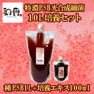 a PSB ȒPZ|{ ZPSB׋10L|{ZbgiPSB1L+|{GLX100mljt oNeA p|{GLX ߂E񂿂イEEMыȂǂ̖Ɖu͋ɂ҂ł