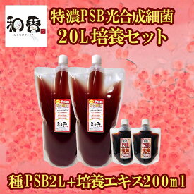 和香 PSB 簡単特濃培養 特濃PSB光合成細菌20L培養セット（種PSB2L+培養エキス200ml）動画説明書付 バクテリア 専用培養エキス めだか・らんちゅう・金魚・熱帯魚などの免疫力強化にも期待できます PSB 光合成細菌 増やす 増やせる 培養