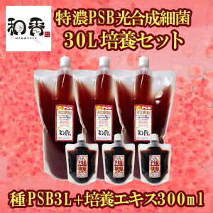 a PSB ȒPZ|{ ZPSB׋30L|{ZbgiPSB3L+|{GLX300mljt oNeA p|{GLX ߂E񂿂イEEMыȂǂ̖Ɖu͋ɂ҂ł