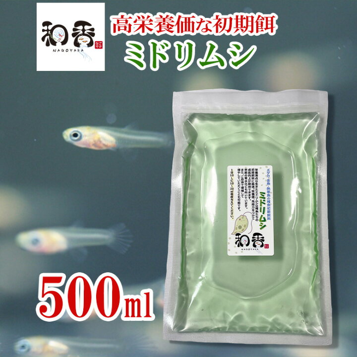 楽天市場 和香 ミドリムシ ユーグレナ 500ml 液体肥料 詳しい培養マニュアル付 めだか メダカ 金魚 稚魚針子 栄養高い 生餌 えさグリーンウォーター 青水 化に効果的 和香 なごやか 和やか 和香 なごやか 楽天市場 和香 ミドリムシ ユーグレナ 500ml 液体肥料 詳しい培養マニュアル付 めだか メダカ 金魚 稚魚針子 栄養高い 生餌 えさグリーンウォーター 青水 化に効果的 和香 なごやか 和やか 和香 なごやか