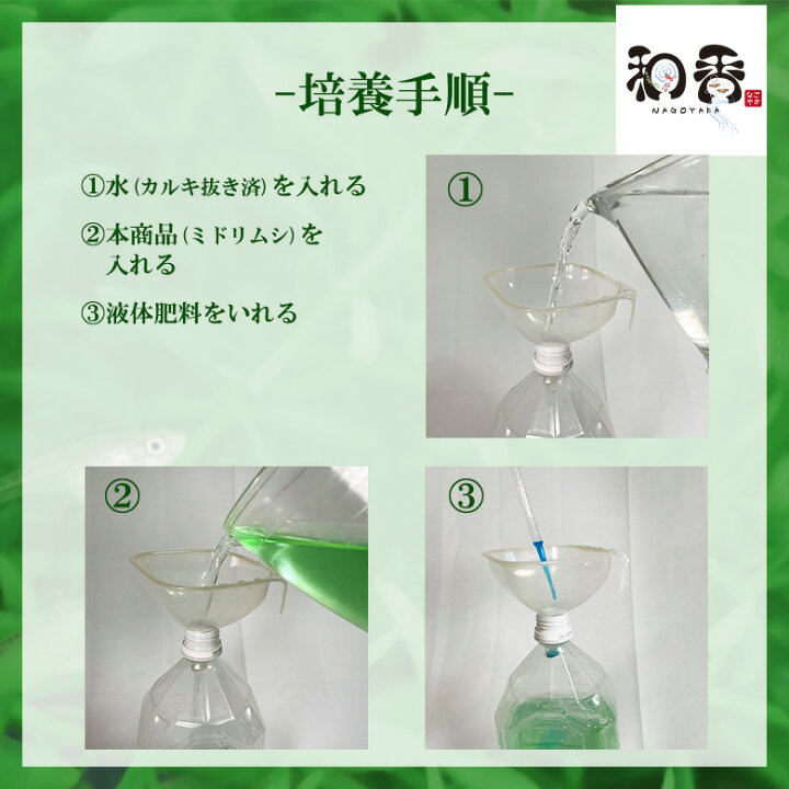 楽天市場】和香 ミドリムシ（ユーグレナ）500ml 液体肥料 詳しい培養 