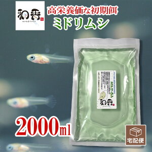 a ~hV i [Oi j2000ml t̔엿 ڂ|{}jAt ߂ _J  tjq h{ a  a GT ߂a O[EH[^[  ɌʓIB PSB