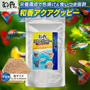 a ANAObs[ Obs[  a 100g Obs[a Obs[̉a