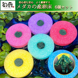 和香 メダカ 産卵床 抗菌 孵化率UP 6色6個セットで毎日の産卵も交換管理OK 産卵率UP 大量産卵対応 水に浮くタイプ 繰り返し使用可能 水槽用 初心者でも簡単 食卵防止 繁殖サポート メダカ産卵床 詳しい説明書付 めだか 針子 稚魚 繁殖 産卵 のお供