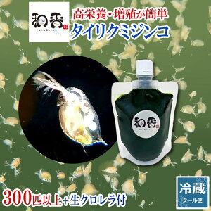 エサ タマミジンコ 熱帯魚の人気商品 通販 価格比較 価格 Com