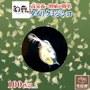和香 タイリクミジンコ 100匹 初心者向 ミジンコ めだか・らんちゅう・グッピー・熱帯魚・水中爬虫類に最適 ミジンコ …